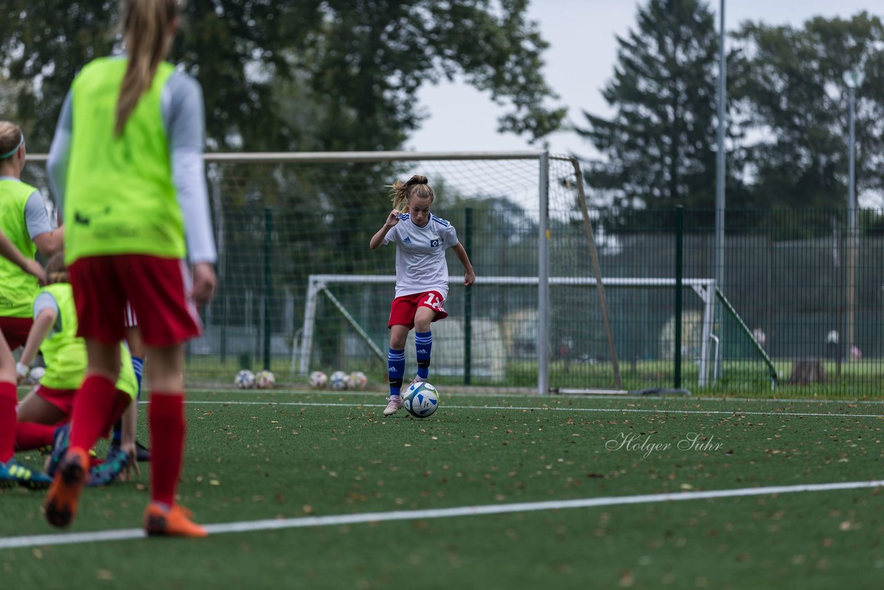 Bild 242 - C-Juniorinnen HSV - Walddoerfer : Ergebnis: 9:1